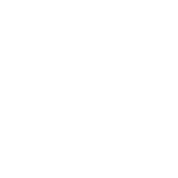 Präsentation im Webshop