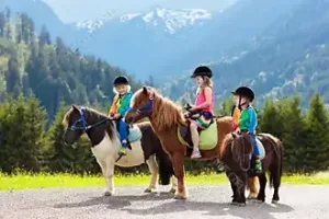 Ponyreiten in Gerasdorf