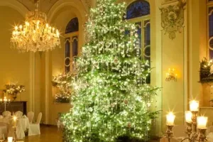 Mozart Dinner Weihnachts-Gala in Salzburg – Musik trifft Genuss