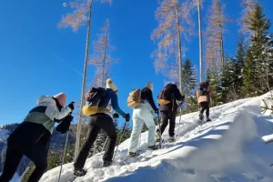 Geführte Schneeschuhwanderung in Schladming-Dachstein – Winter erleben