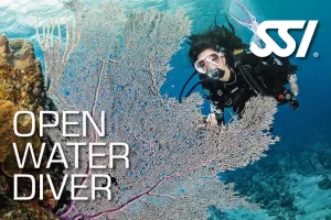 Open Water Diver – Klopeinersee