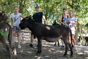 Unterricht im Zoo in Krenglbach