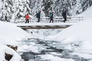 Schneeschuhwandern im Bregenzerwald