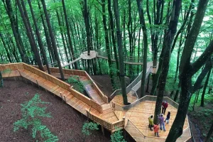 Familywald in Ossiach – Abenteuer zwischen den Baumwipfeln