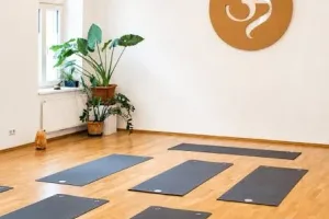 Vinyasa Yoga Graz – Open Level