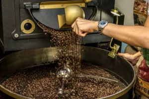 Home-Barista Workshop in Eisenstadt