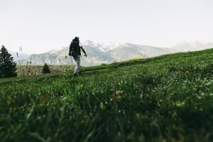Wildkräuterspaziergang mit Sternekoch in St. Veit im Pongau