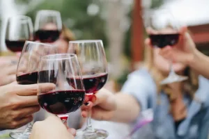 Tyrol Wine Tasting in Innsbruck