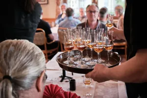 Whisky, Rum, Gin Tasting in Innsbruck