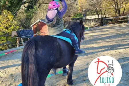 Lolino Reitpädagogik-Ausbildung in Parndorf – mit Kindern und Pferden arbeiten Bild 2
