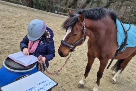Lolino Reitpädagogik-Ausbildung in Parndorf – mit Kindern und Pferden arbeiten Bild 1