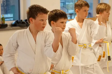 Karate 4 Kids in Thalgau Bild 3