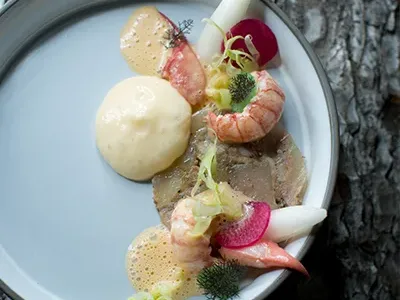 Kochkurs Fische & Co in Golling an der Salzach Bild 1