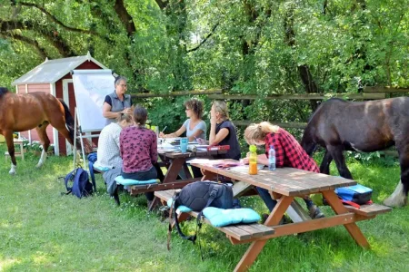 Ausbildung Pferdegestütztes Coaching in Parndorf – mit Pferden arbeiten Bild 1