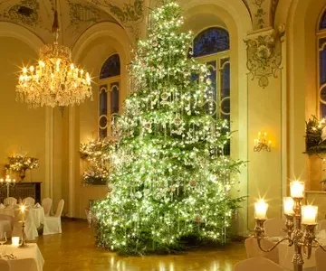 Mozart Dinner Weihnachts-Gala in Salzburg – Musik trifft Genuss Bild 1