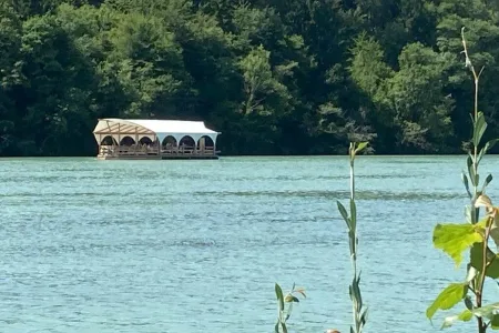 Kulturfloßfahrt auf der Drau Bild 6