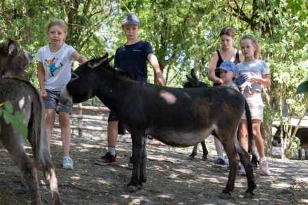 Unterricht im Zoo in Krenglbach Bild 1