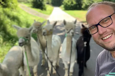 Alpaka-Wanderung in Tieschen Bild 2