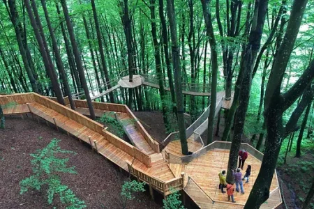 Familywald in Ossiach – Abenteuer zwischen den Baumwipfeln Bild 1