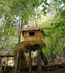 Familywald in Ossiach – Abenteuer zwischen den Baumwipfeln Bild 3
