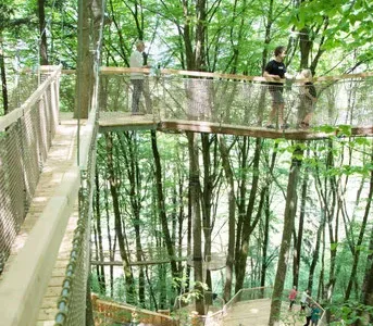 Familywald in Ossiach – Abenteuer zwischen den Baumwipfeln Bild 2