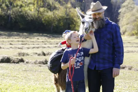 Lamatrekking in Hermagor – gemeinsam mit Lamas unterwegs Bild 2