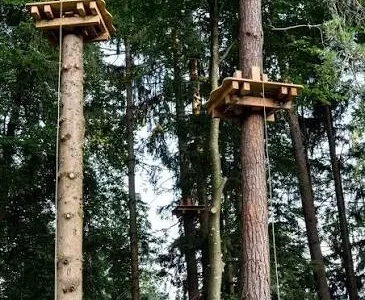 Waldseilpark am Pyramidenkogel in Keutschach Bild 3