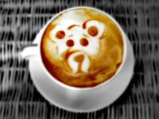 Home Barista Workshop in Kallham Bild 1