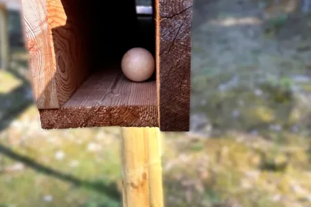 Kugelbahn in Fulpmes-Das Highlight für kleine Entdecker Bild 2