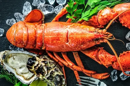 Seafood-Kochkurs in Wien Bild 1